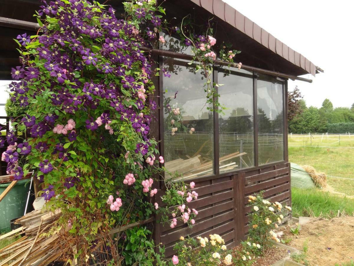 Ferienwohnung Gruenewaldstrasse 22 Bünde 외부 사진